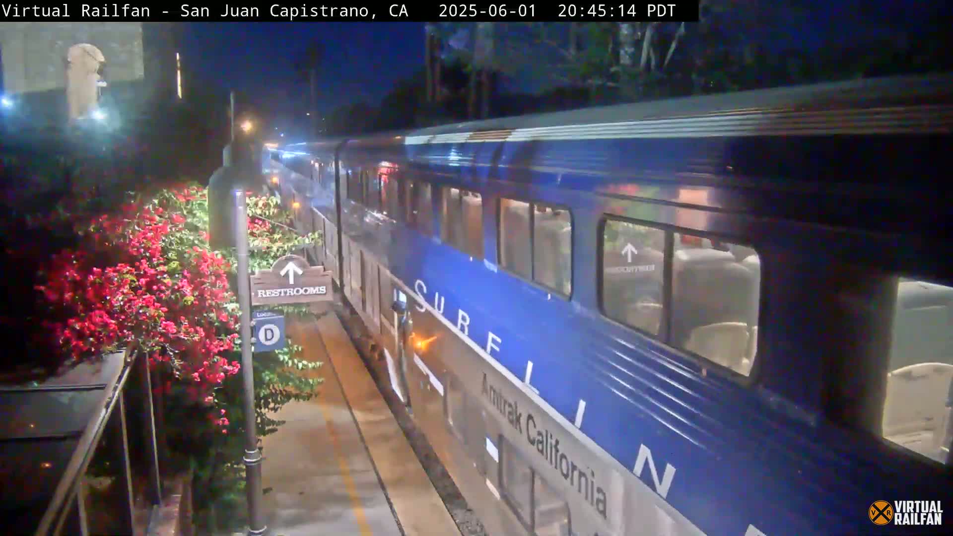 A blue Amtrak California train is stopped at a nighttime station next to red flowering bushes.