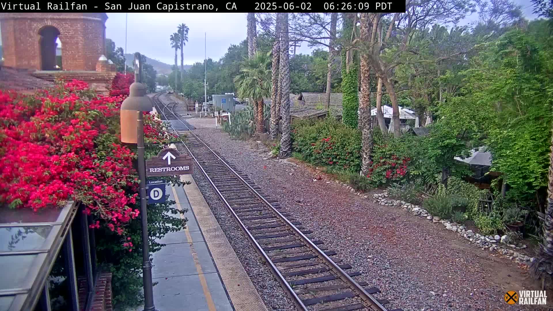 A train track at a station with vibrant bougainvillea bushes, palm trees, and other greenery under an overcast sky.