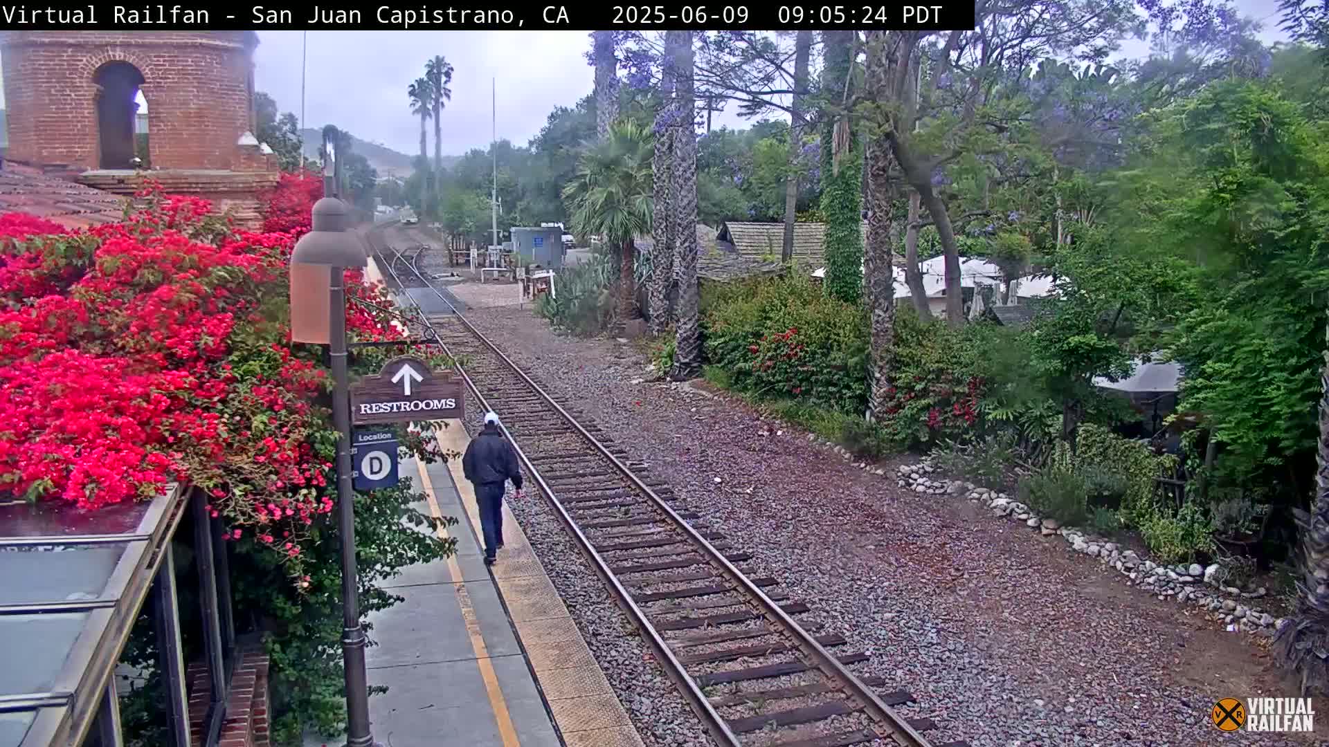 A person walks along a train platform next to a vibrant bougainvillea bush, with train tracks and lush greenery visible beyond, under an overcast sky.