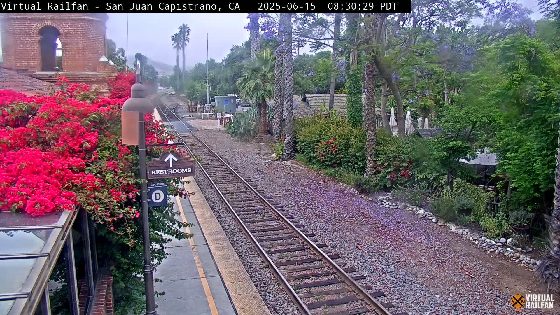 A train track runs through a lush, plant-filled area on an overcast day.