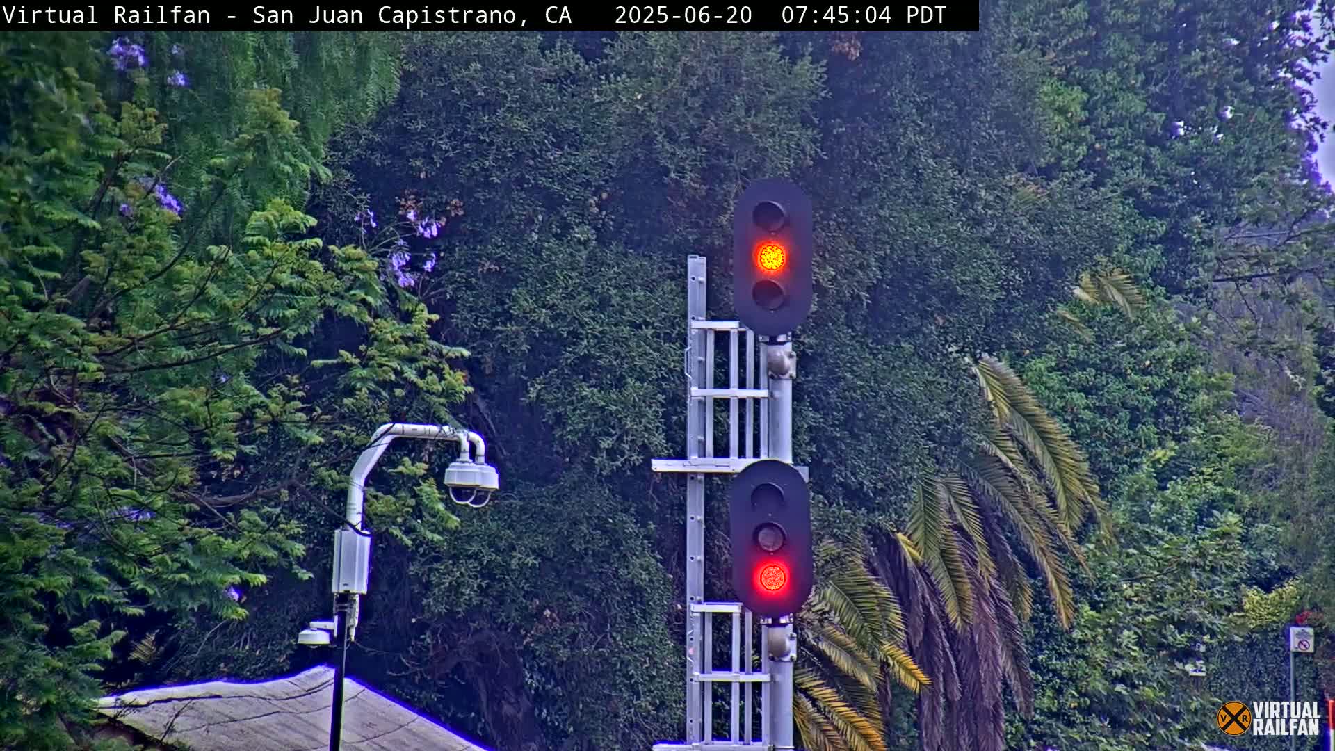 A railway crossing signal displays a red light in front of lush green trees and palm trees under an overcast sky.