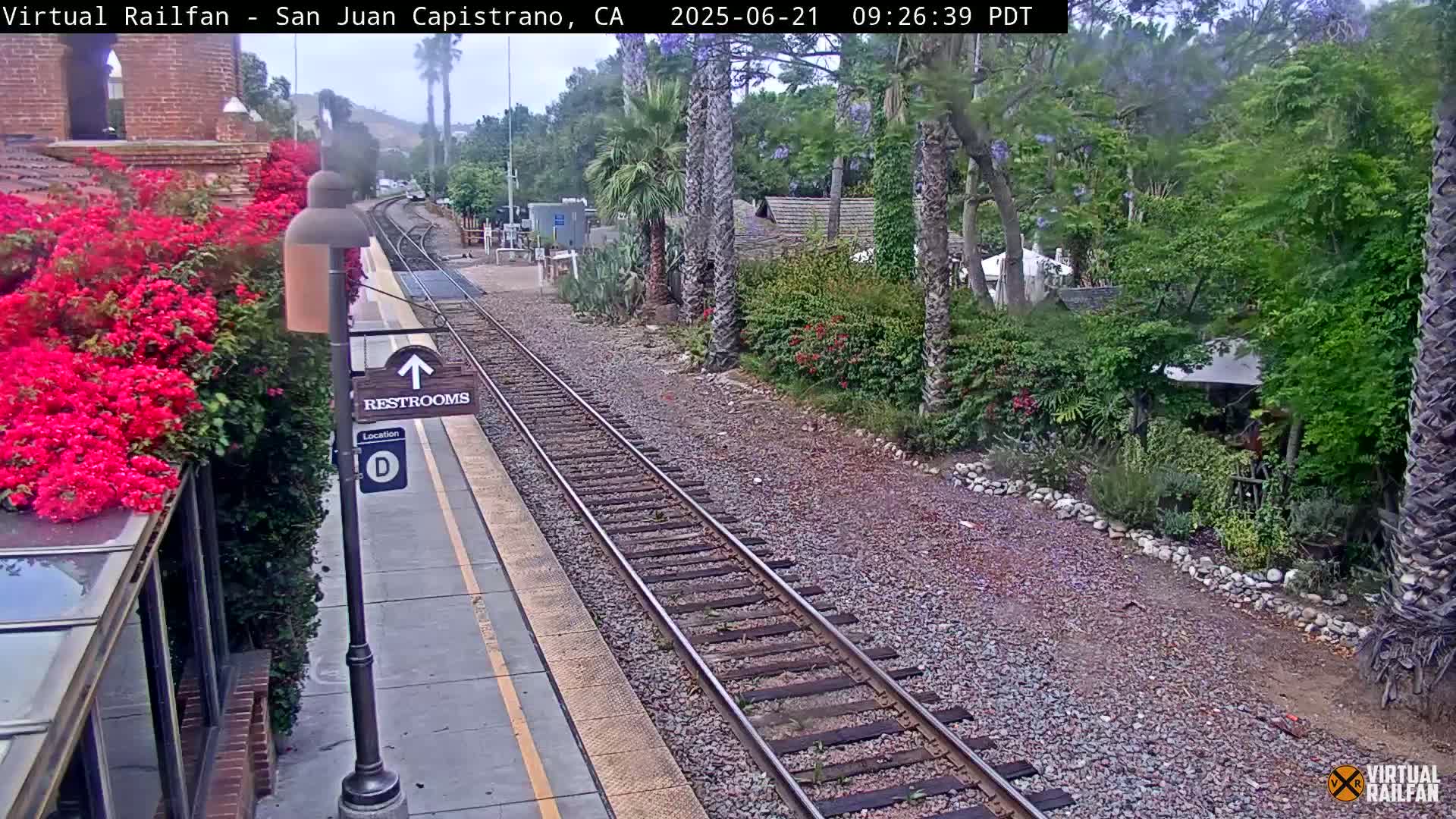 A train track runs alongside a platform with vibrant pink flowers, lush greenery, and palm trees under an overcast sky.