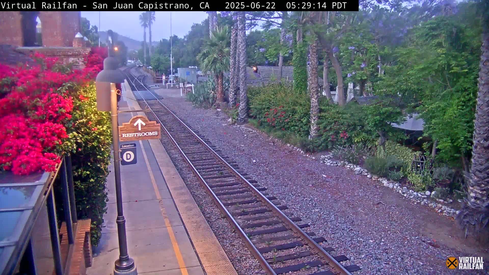 A train platform with vibrant pink flowers beside it, railroad tracks extending into a lush landscape under a dusky sky.