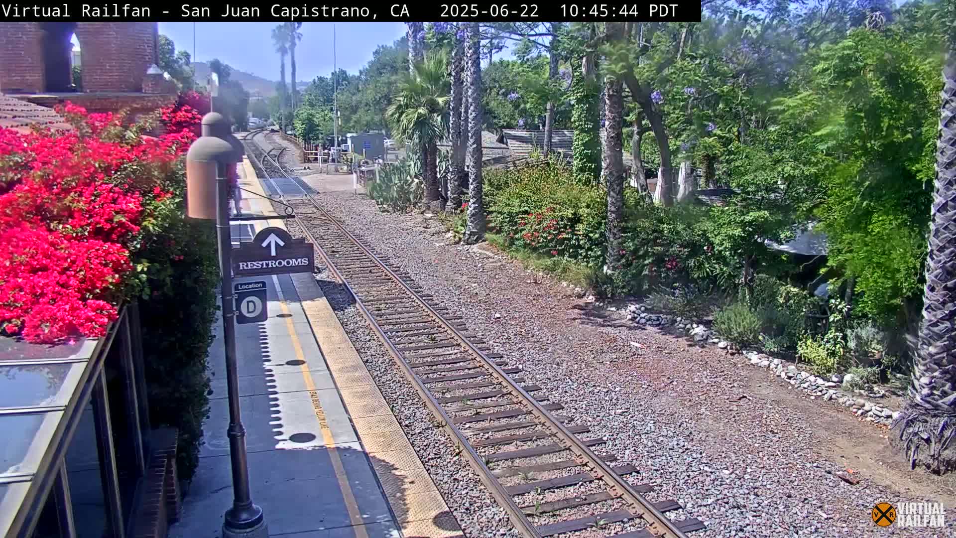 A sunny train platform with vibrant pink flowers beside a railroad track, bordered by lush green landscaping.