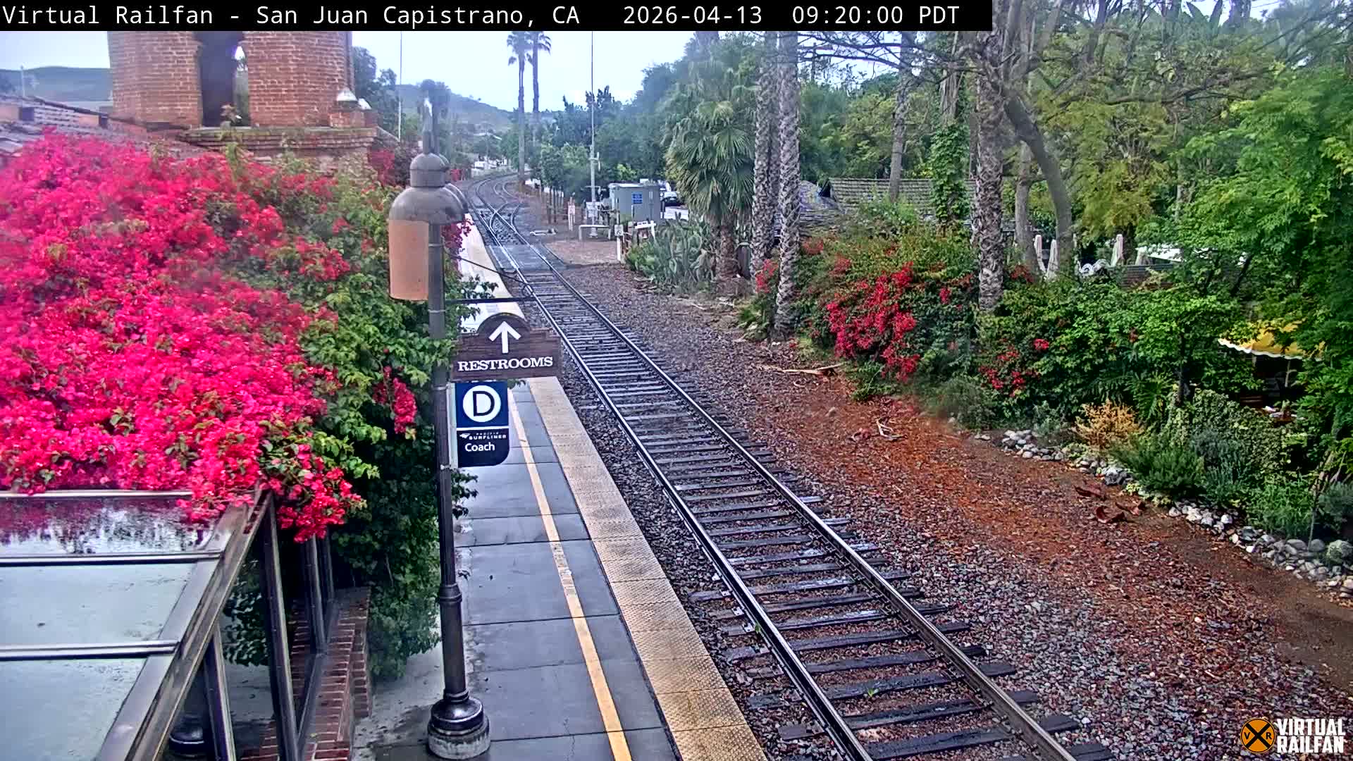 A nocturnal view shows a brightly lit train platform alongside railway tracks, featuring a sign for restrooms and coach "D," flanked by lush greenery with some red flowers, under clear weather conditions.