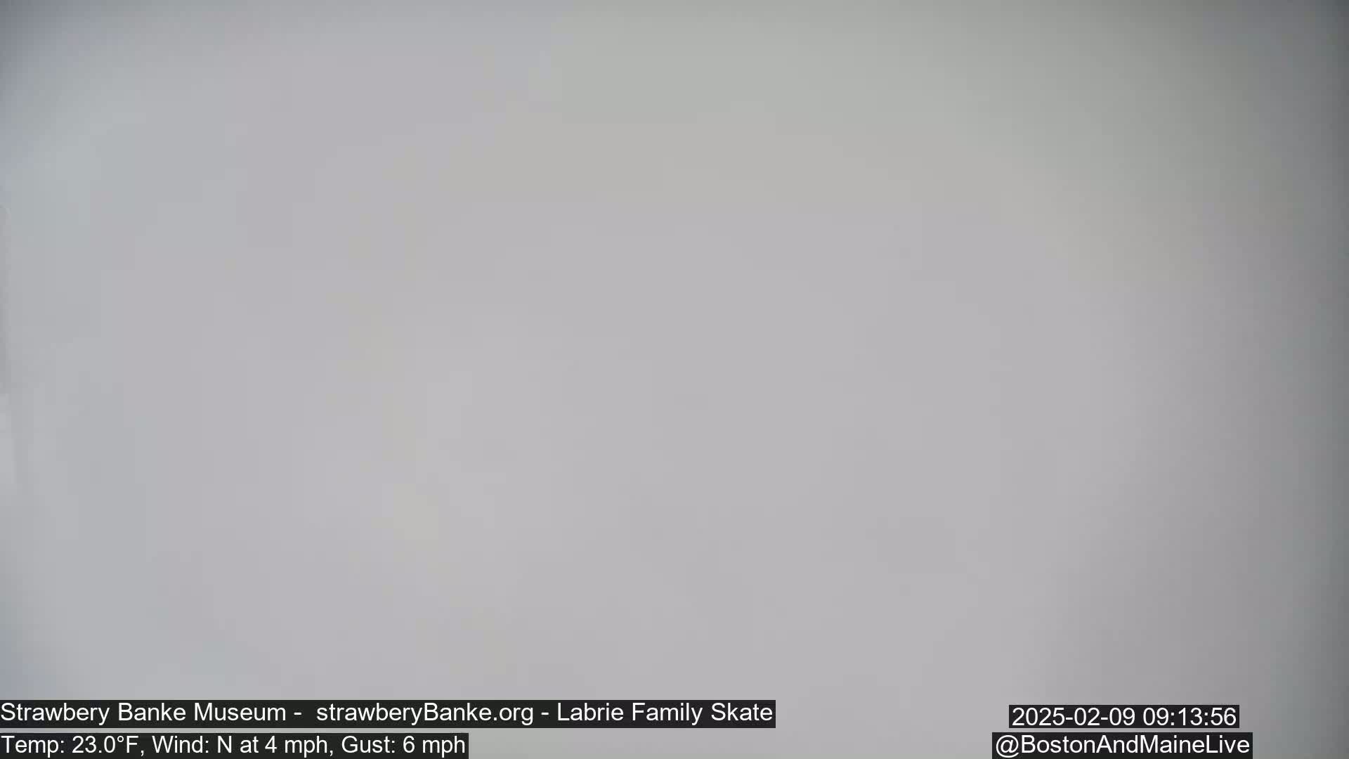 A solid, light gray field fills the entire image under an overcast sky, with a north wind blowing at 4 miles per hour and gusts up to 6 miles per hour.