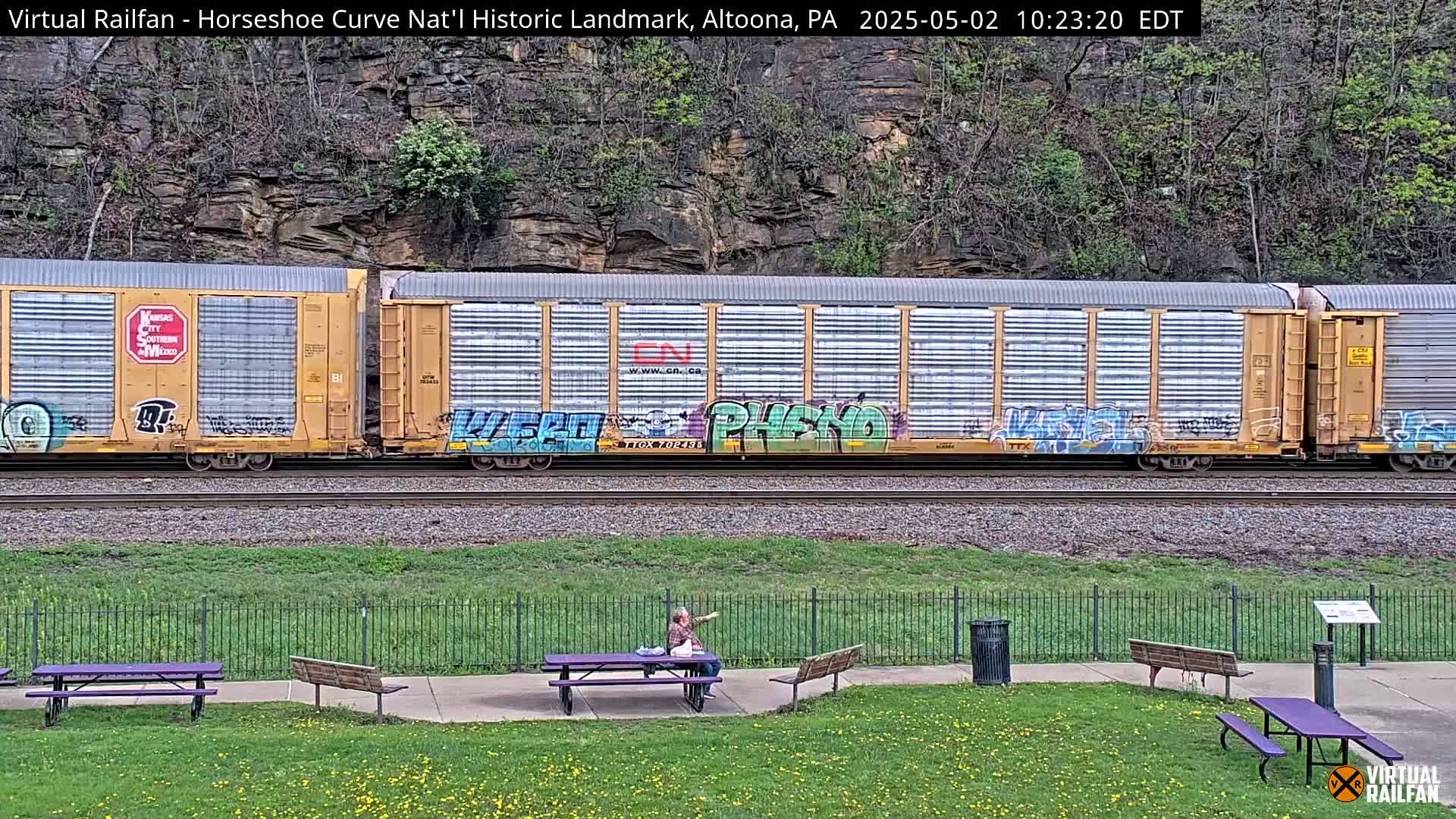 A freight train with graffiti-covered cars passes by a park with picnic tables and a person sitting at one of them, under a partly cloudy sky.