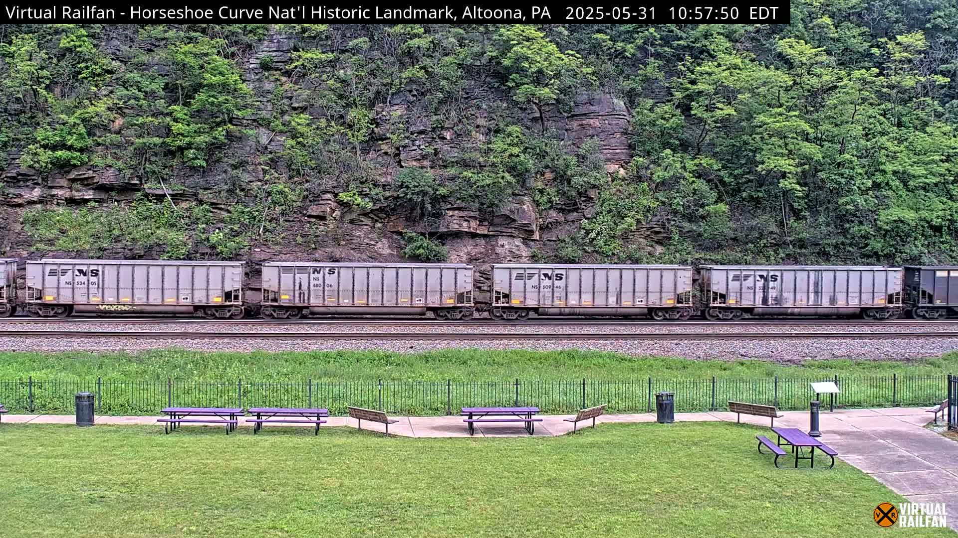 A long freight train passes by a grassy area with picnic tables and a black metal fence, against a backdrop of a steep, rocky hillside covered in green vegetation.