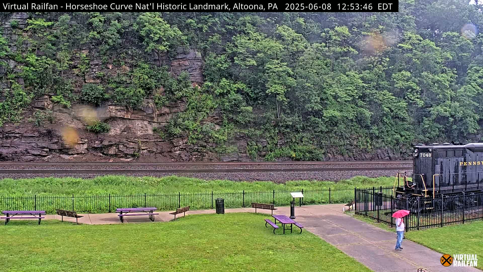 A black locomotive sits near a grassy area with picnic tables, a person with an umbrella stands nearby, all under a rainy sky, against a backdrop of a steep, rocky hillside covered in lush green vegetation.