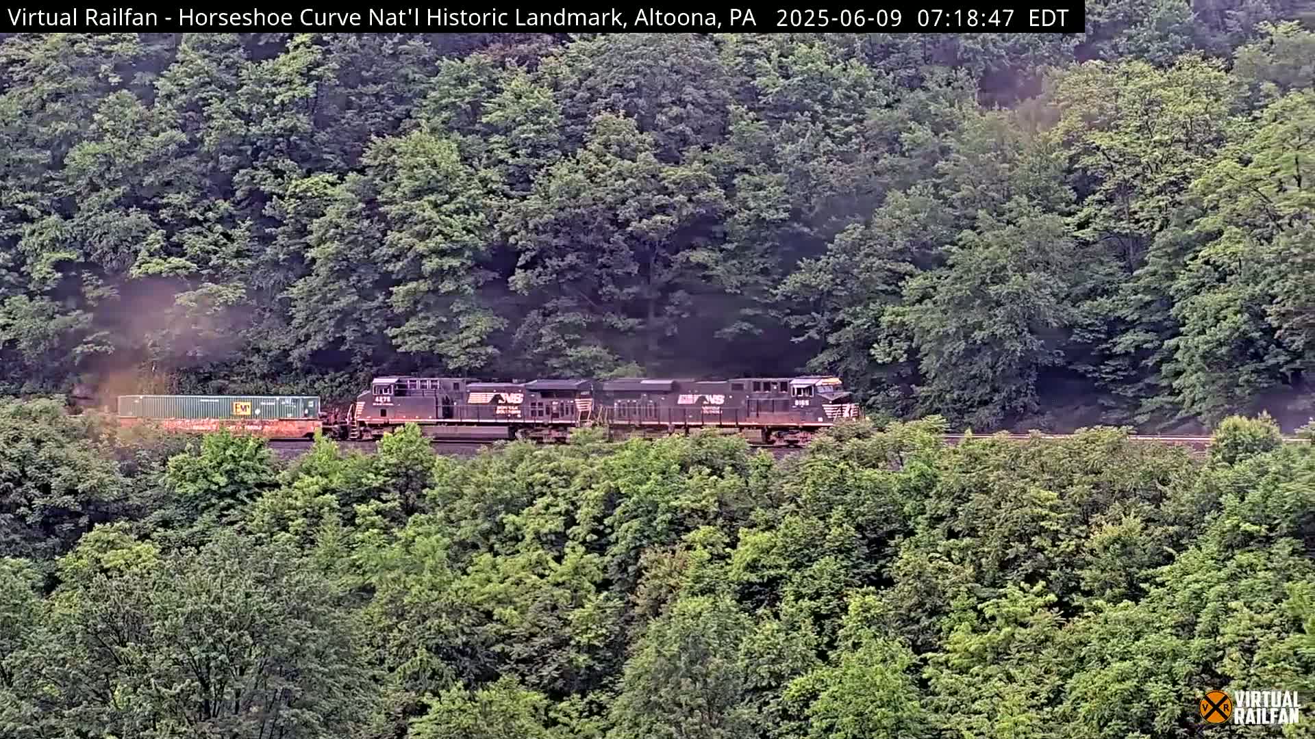 A freight train, emitting a small dust cloud, travels through a lush green forest.