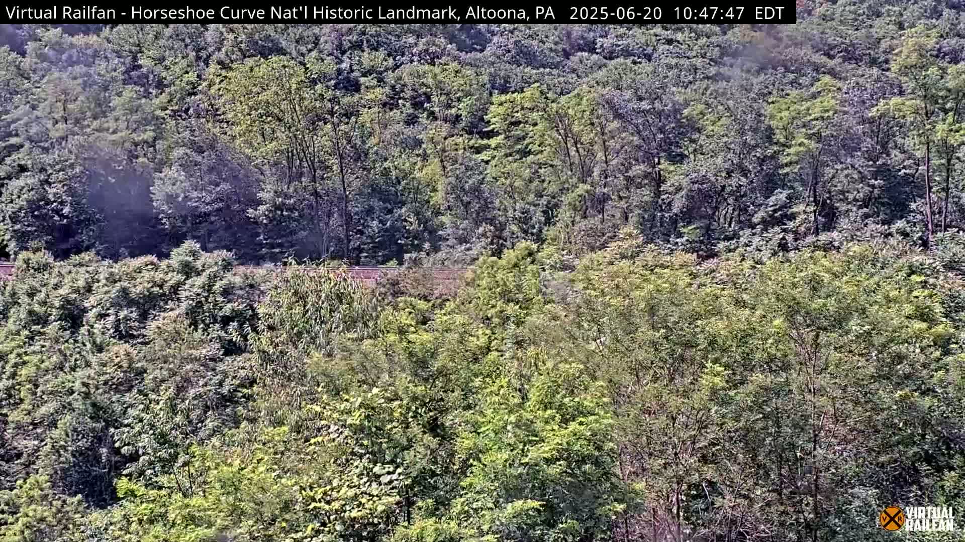 A lush green forest, possibly in a mountainous area, is shown on a partly sunny day.