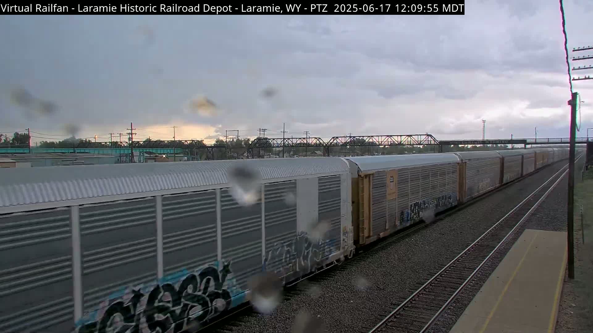 A long freight train with graffiti-covered cars moves along railroad tracks during a light rain.