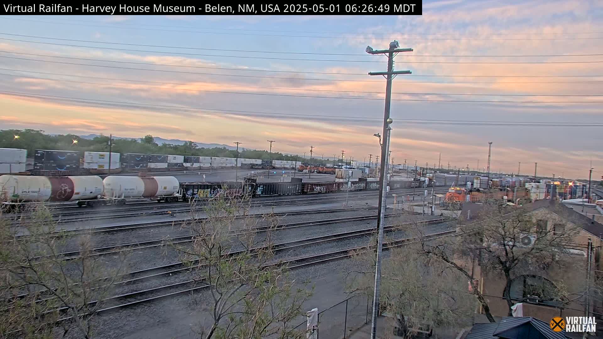 Under a pale pink and gray sunrise sky, numerous freight train cars sit on parallel railroad tracks, partially obscured by trees and shrubbery.
