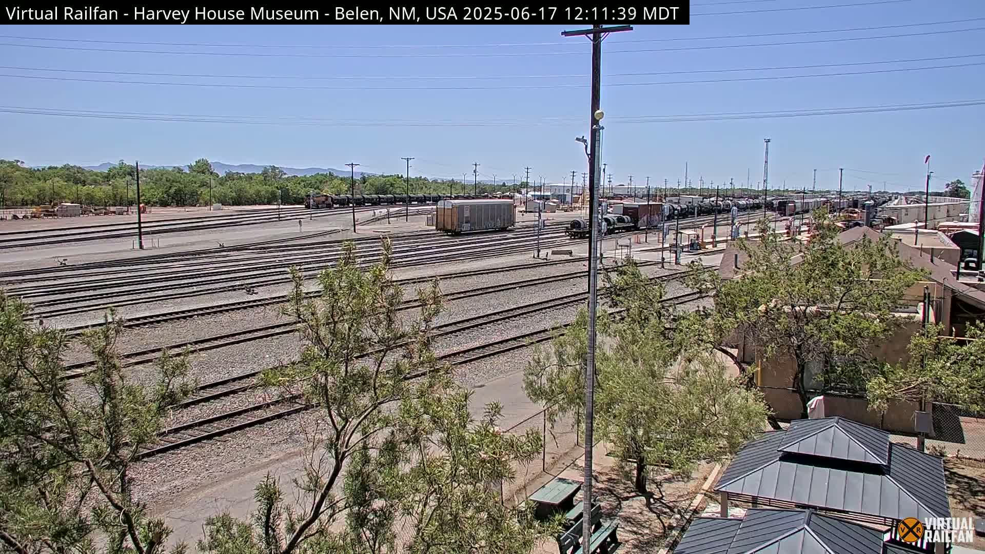 A sunny day reveals a sprawling rail yard with numerous train cars and tracks, partially obscured by trees in the foreground.