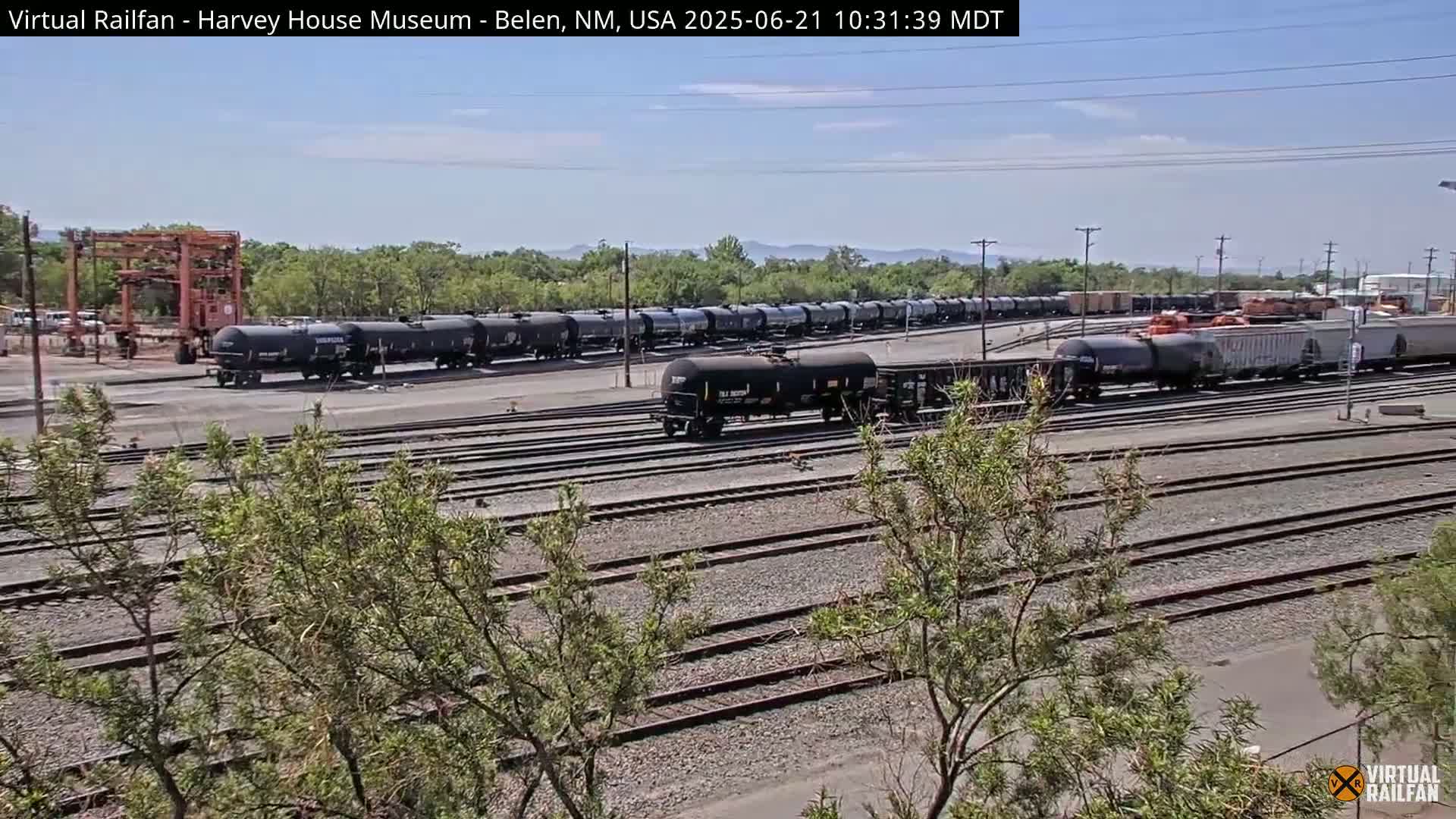 Under a clear sky, numerous black tanker cars and other freight cars sit on a sprawling network of train tracks surrounded by low-lying vegetation.