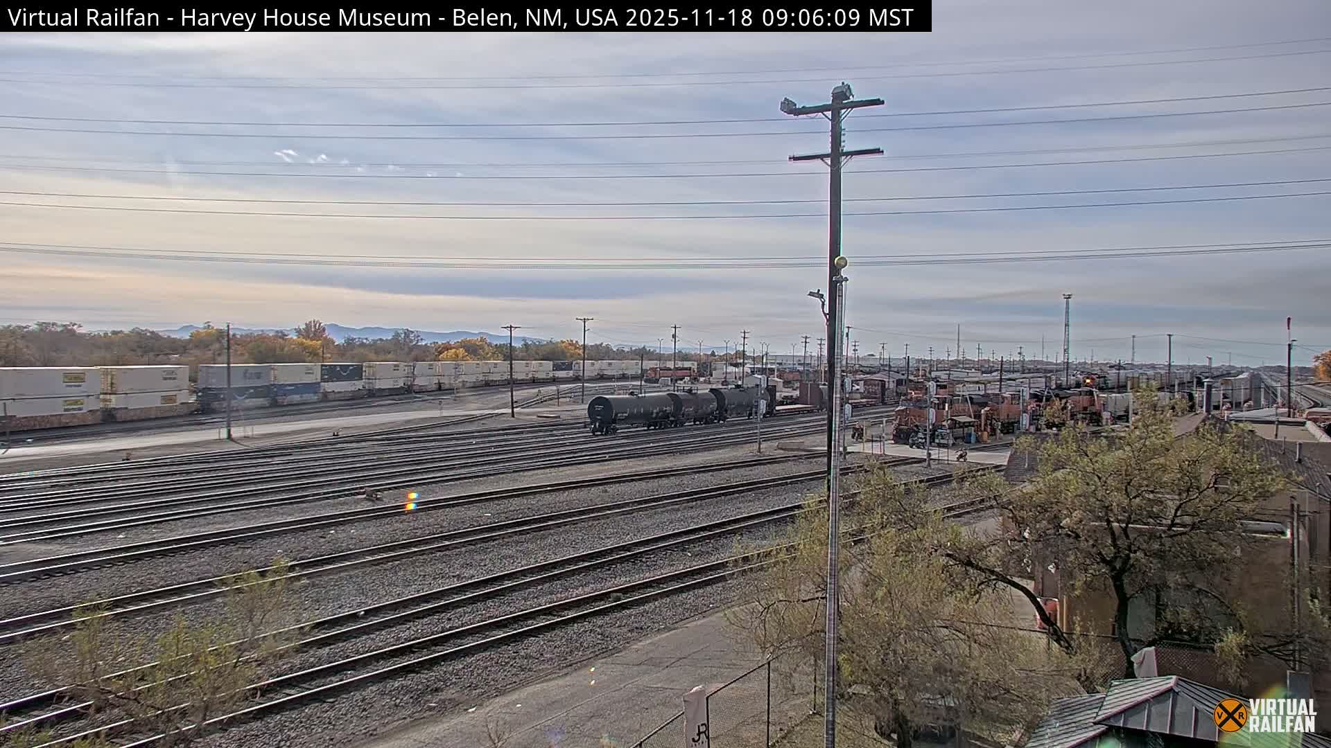 A nighttime view of a train station partially obscured by dense foliage, with lights illuminating the scene.