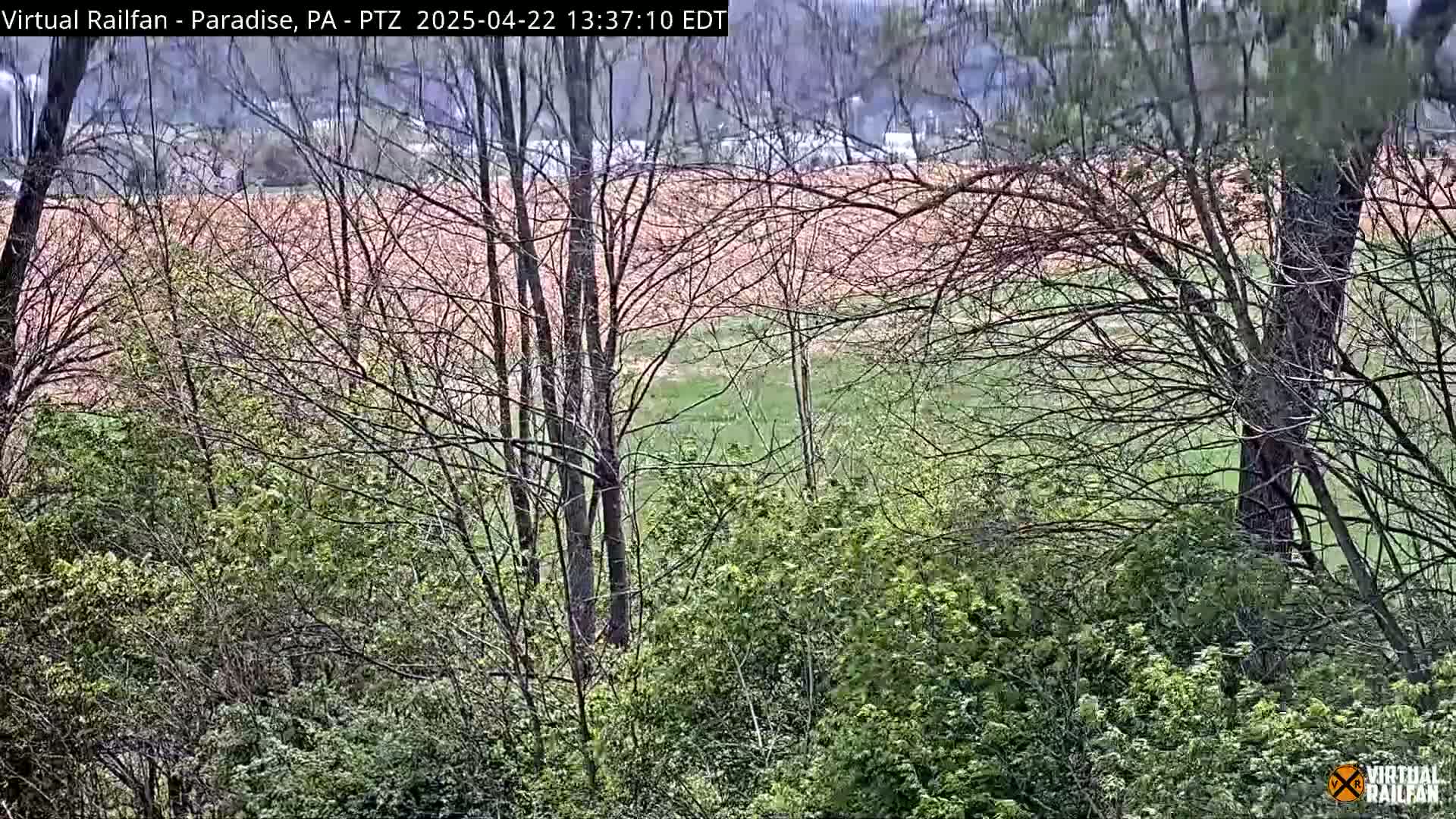 A view through bare trees and budding shrubs shows a pinkish-brown field beyond, under an overcast sky.