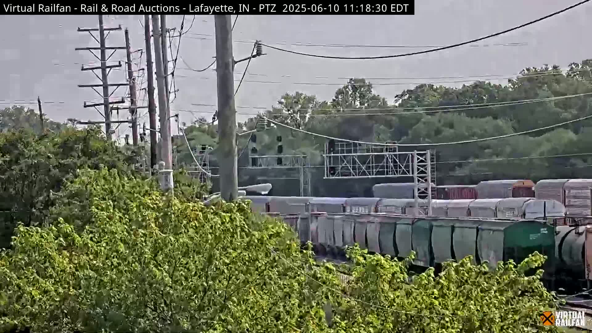 A long freight train passes under an overpass on an overcast day, partially obscured by lush green vegetation.