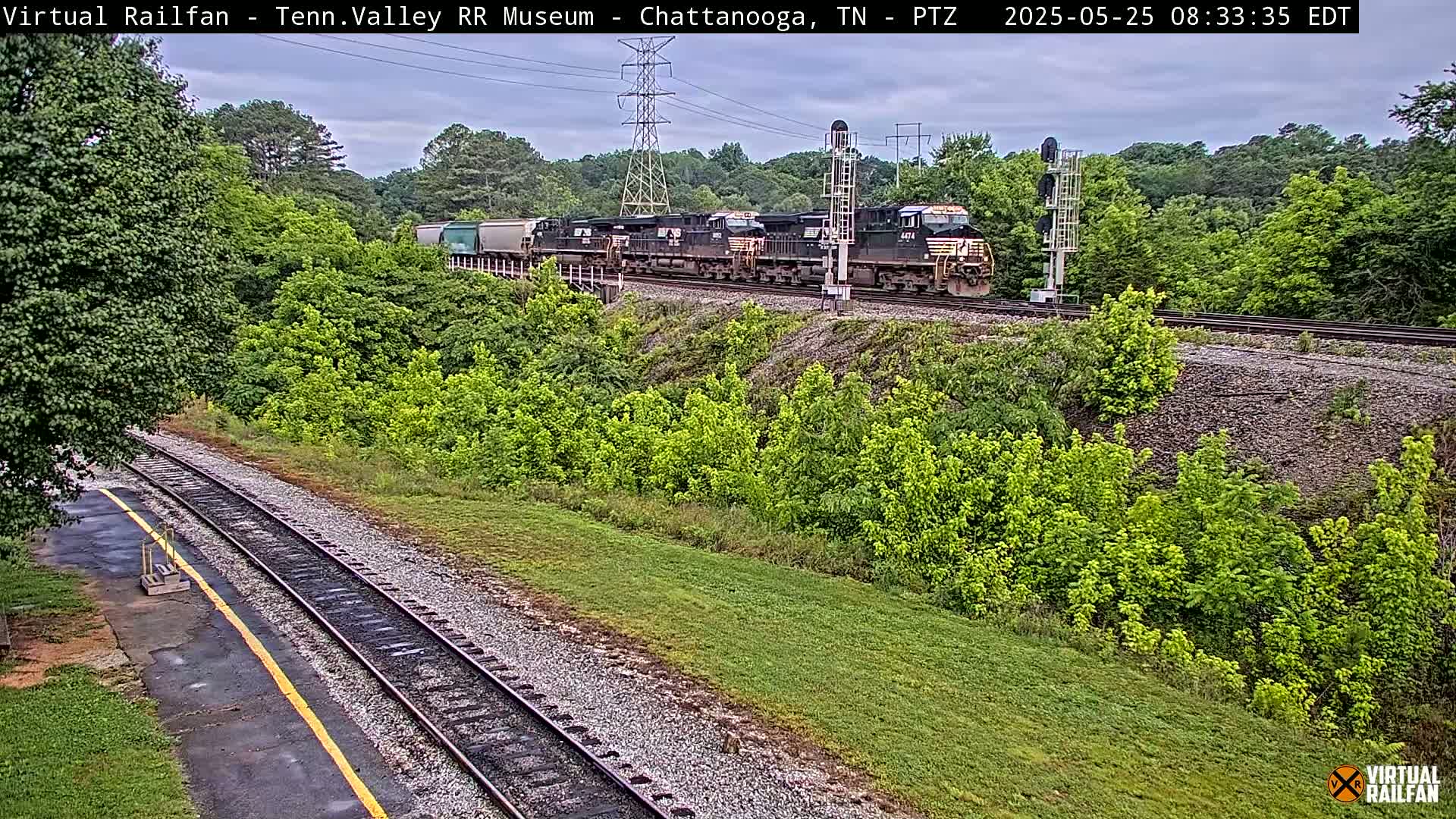 A long freight train passes by on a railroad track under an overcast sky, surrounded by lush green vegetation.
