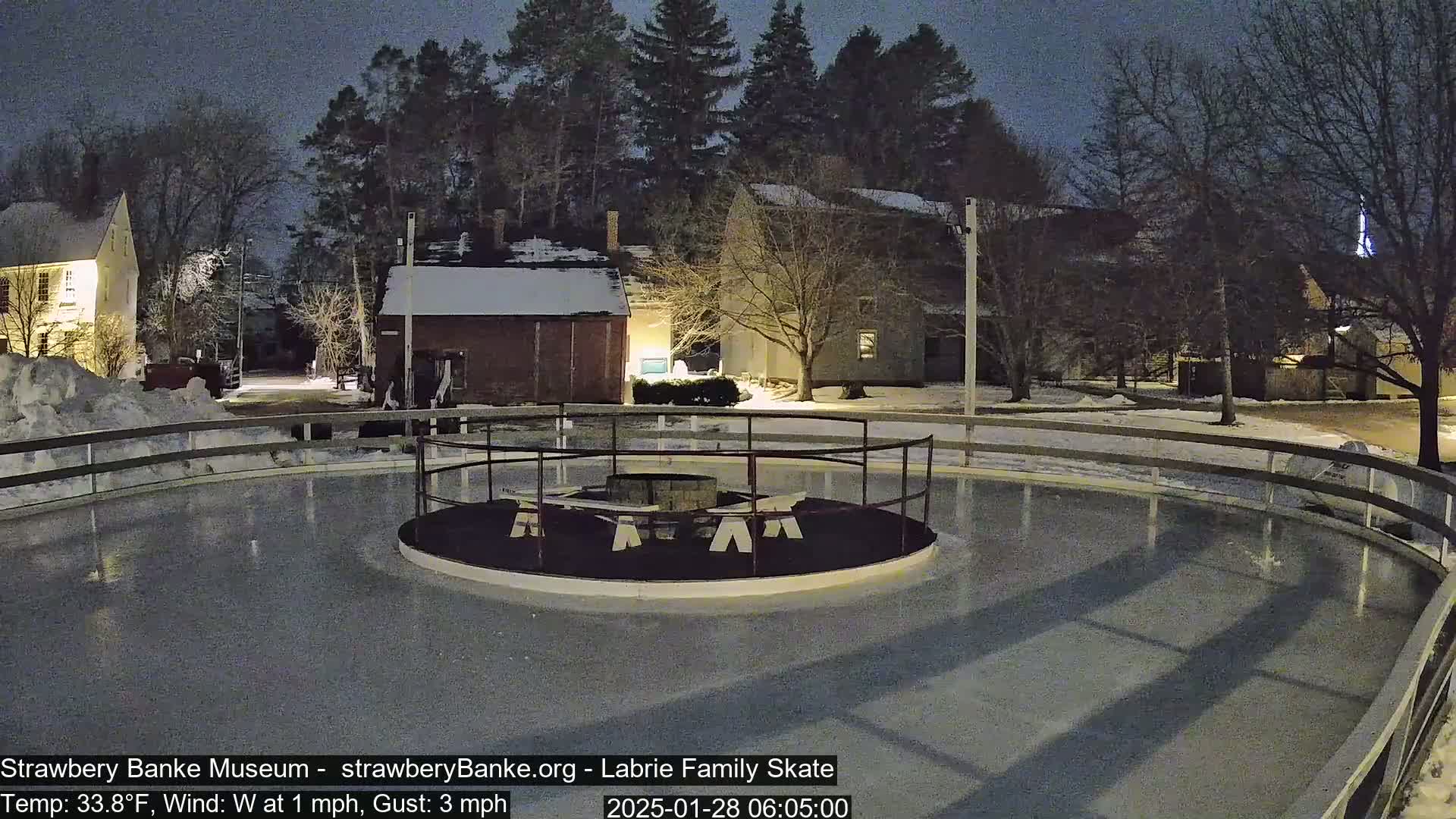 An outdoor ice rink, illuminated at night, is surrounded by snow-covered ground and dark, leafless trees under a twilight sky.