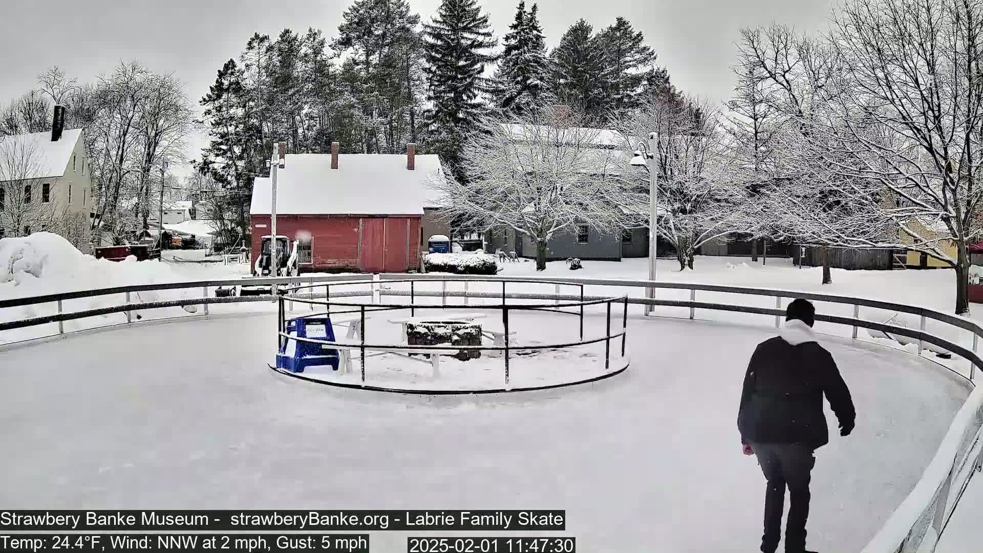 A person skates on an outdoor ice rink surrounded by snow-covered buildings and trees in snowy weather.