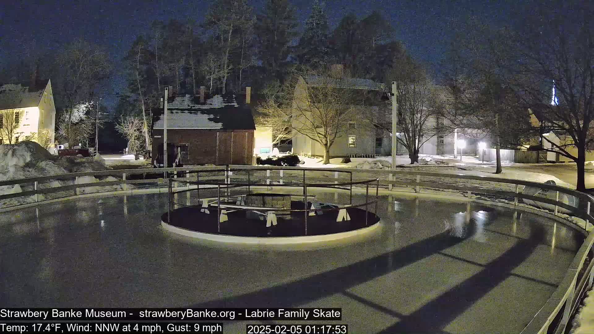 A nighttime view of an outdoor ice skating rink surrounded by snow-covered buildings and trees under a dark sky.