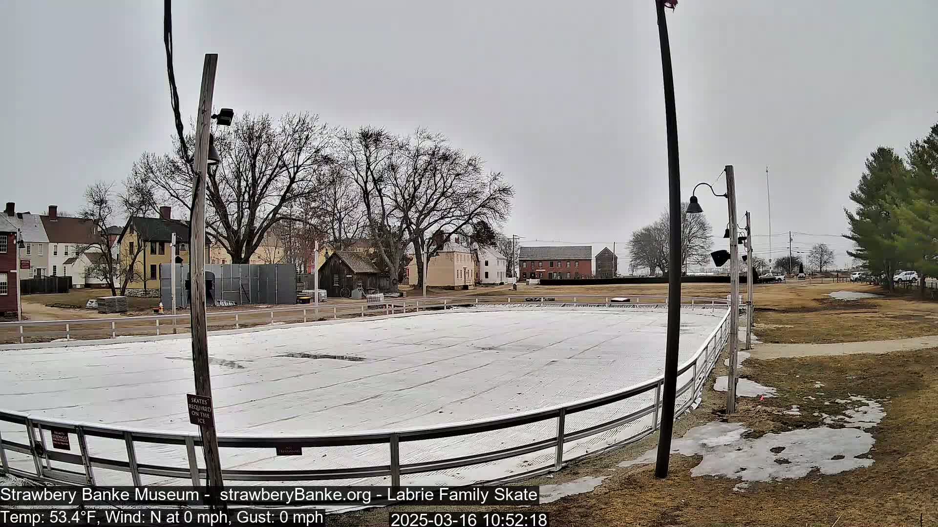 An outdoor ice skating rink surrounded by bare trees and historic buildings on an overcast day.