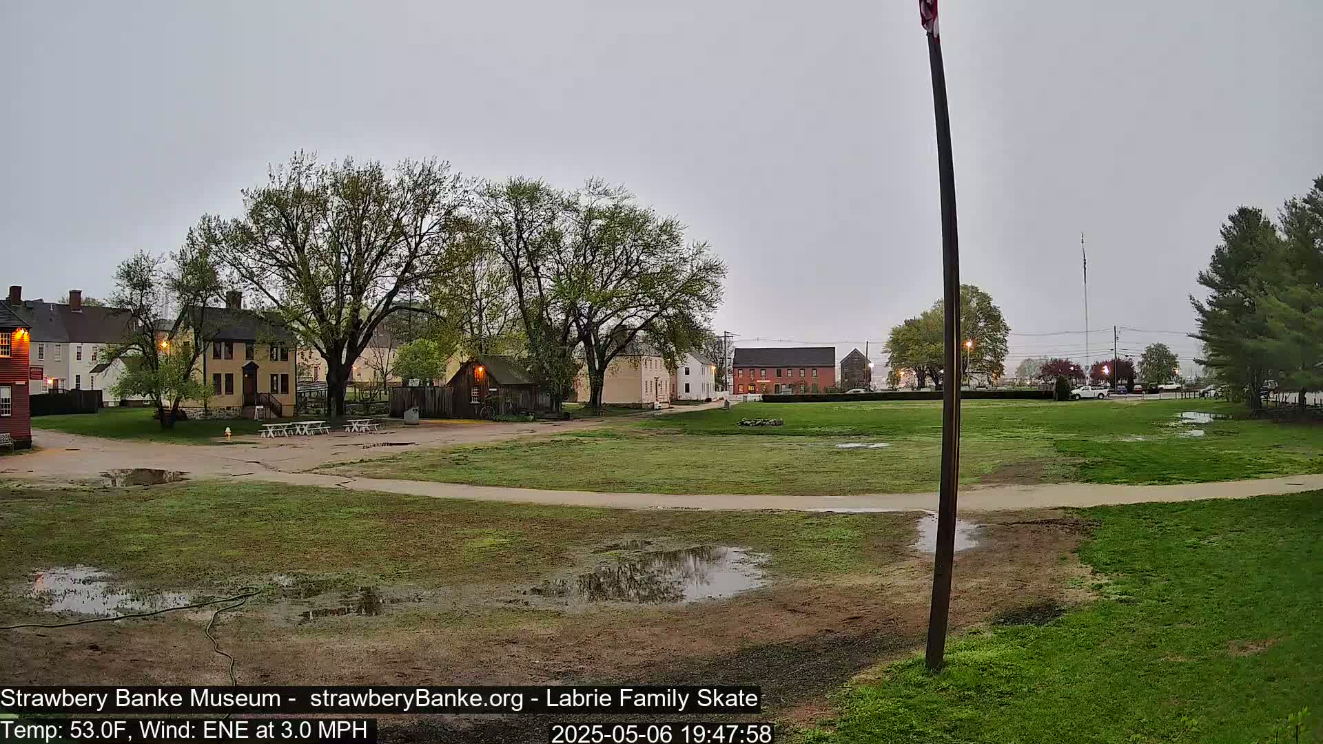 A grassy area with puddles, several historical-looking buildings, and leafy trees under an overcast sky.