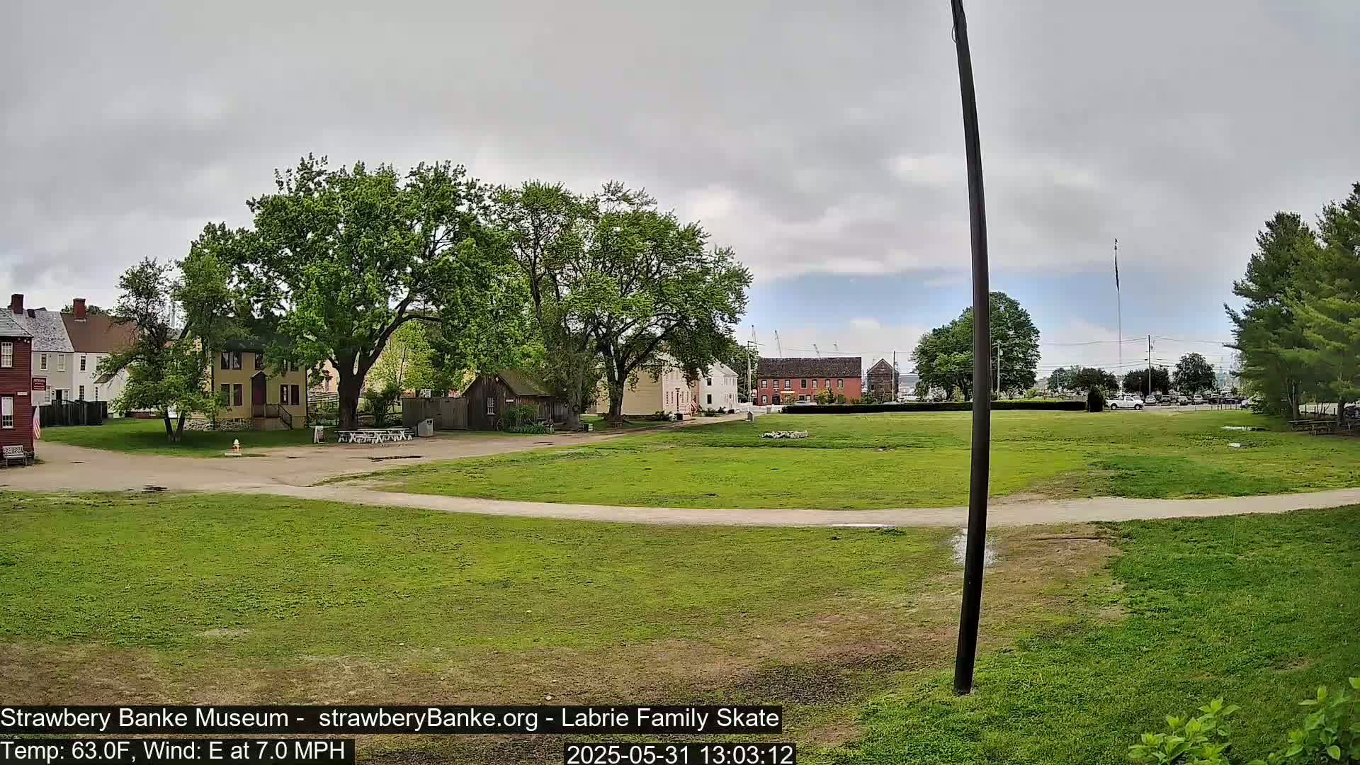 A grassy field with several historical-looking buildings and lush green trees under an overcast sky.
