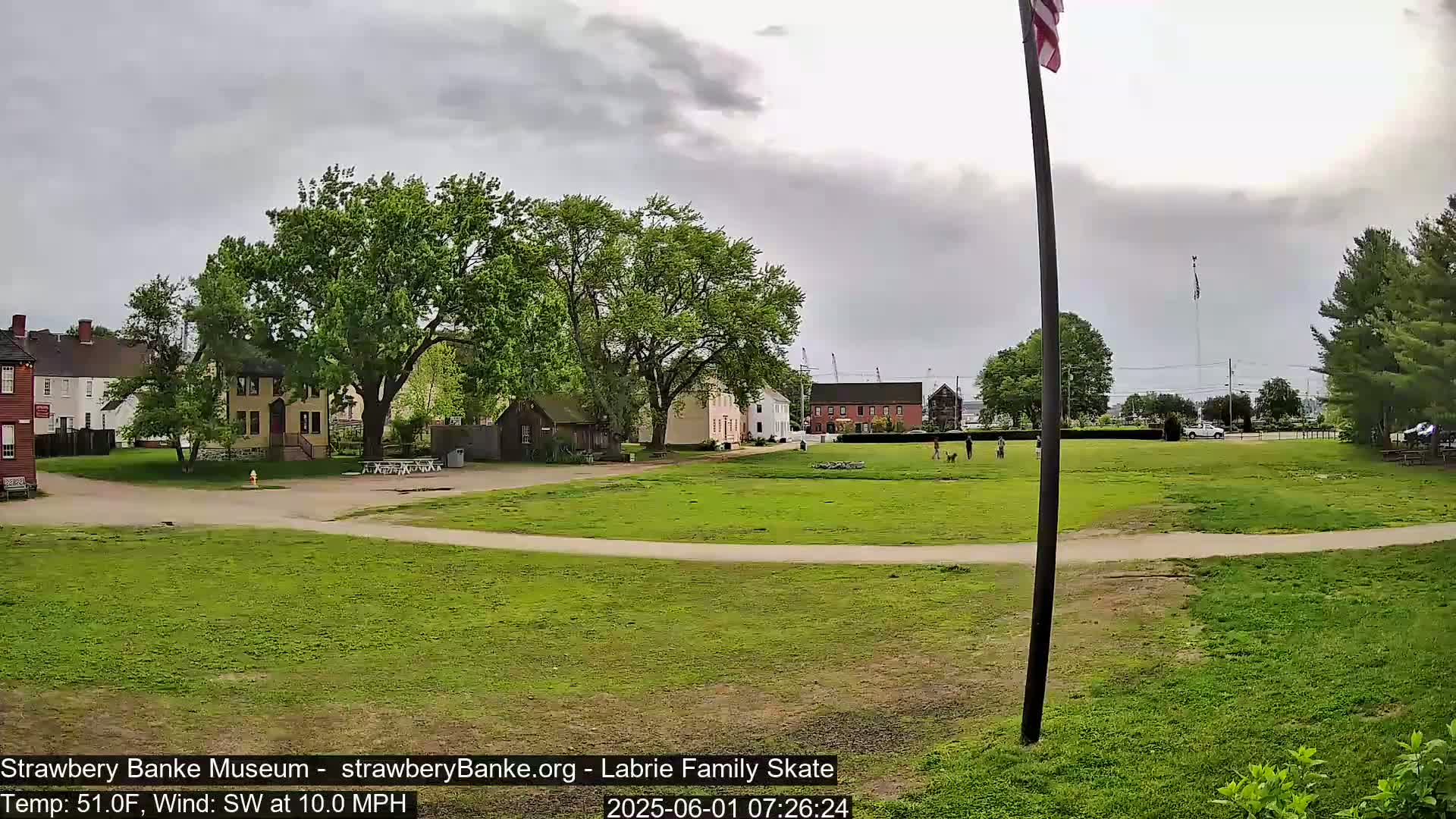 A grassy park with several historic-looking buildings and a few people walking dogs under an overcast sky.