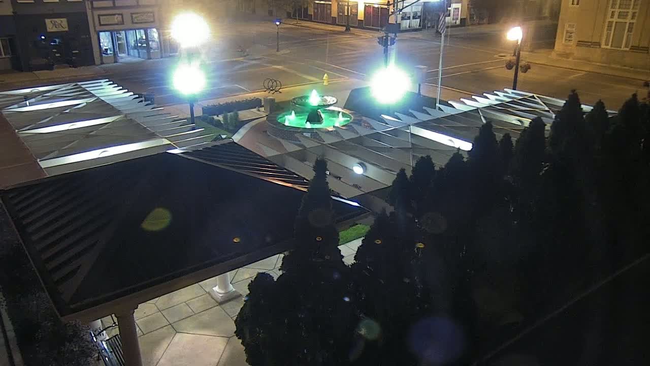 An illuminated fountain is surrounded by dark evergreen shrubs at night, next to a covered structure.