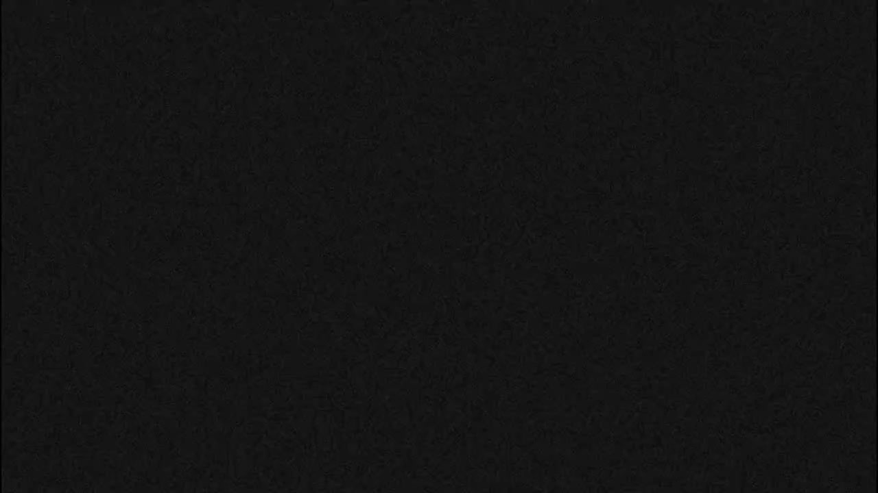 The image displays a uniformly dark, almost black background with a subtle, fine-grained texture across its entirety.