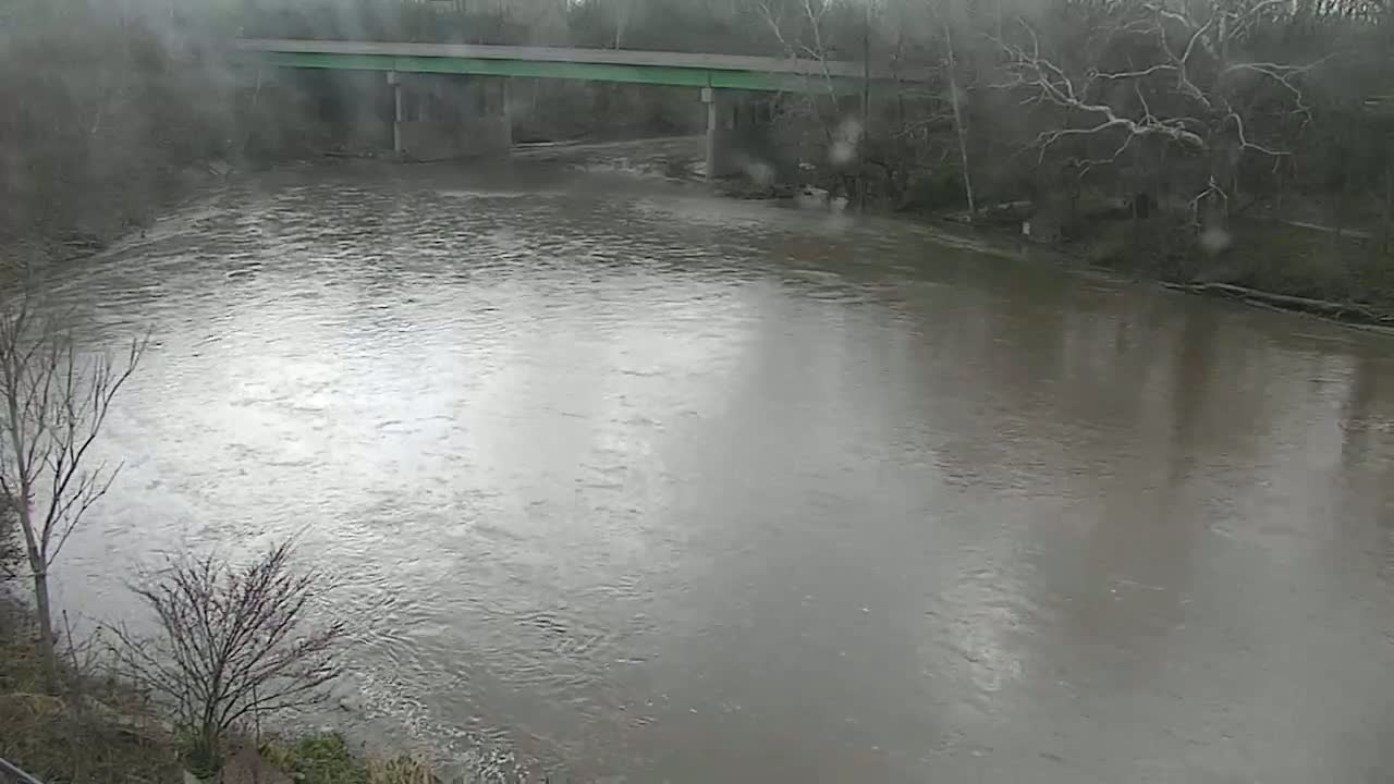 A muddy river flows under a green bridge on a rainy day, surrounded by bare winter trees.