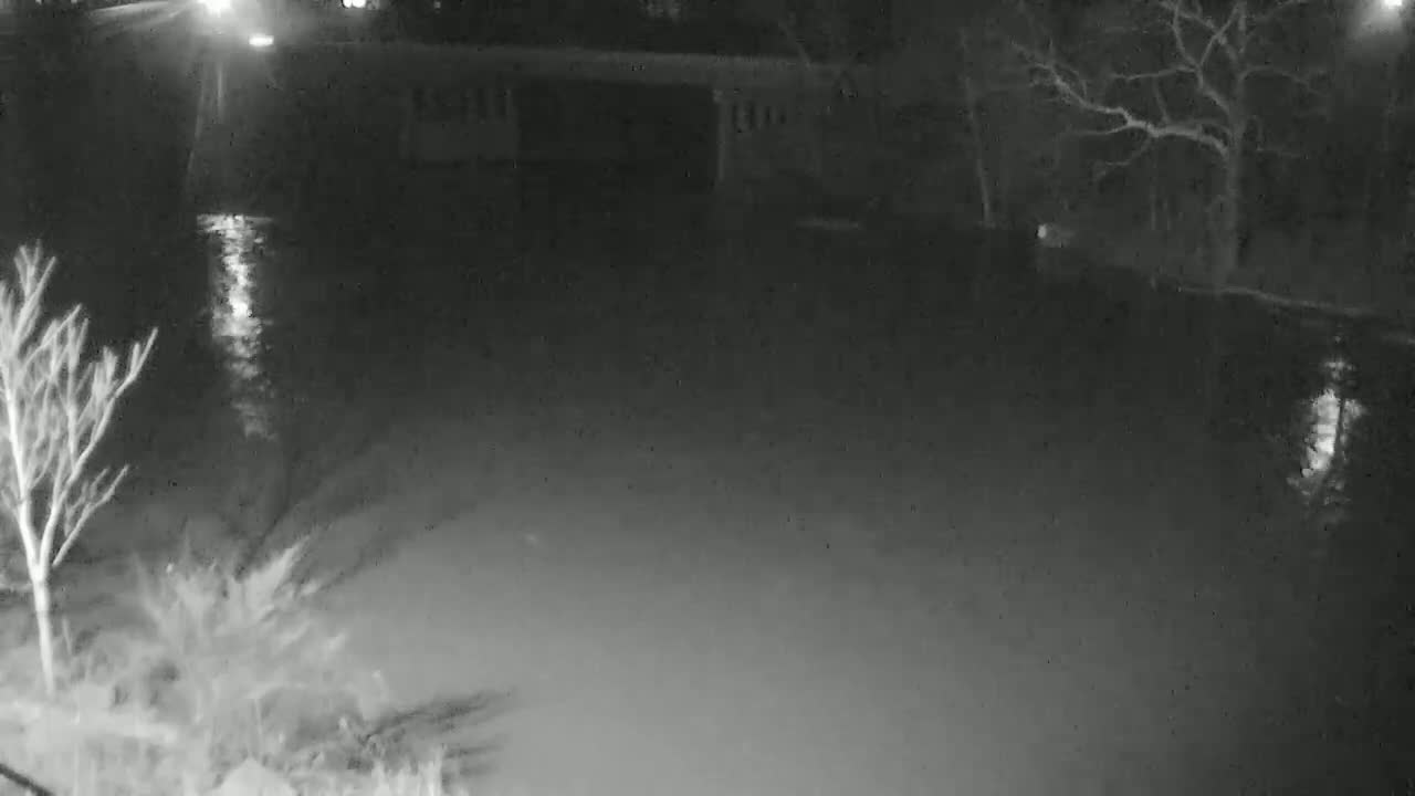 A nighttime, low-light image shows a dark body of water reflecting light sources, with bare trees and a dark structure visible in the background.