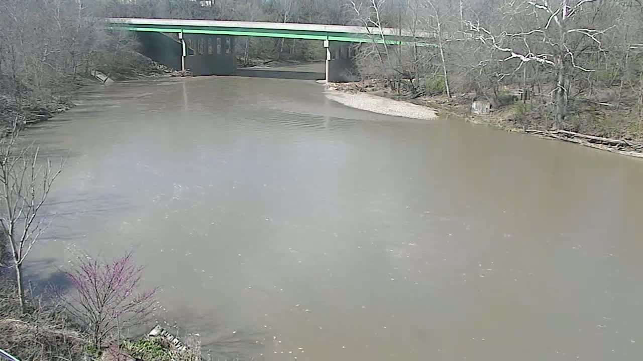 A wide, muddy river flows under a light-green bridge, surrounded by bare winter trees on a cloudy day.