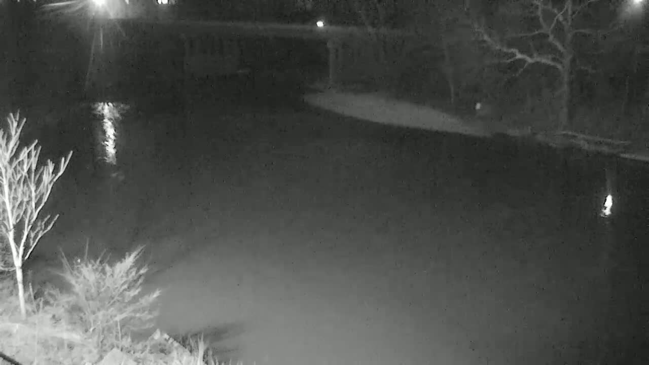 A nighttime, grayscale view of a dark body of water bordered by leafless trees and shrubs under a dark sky.