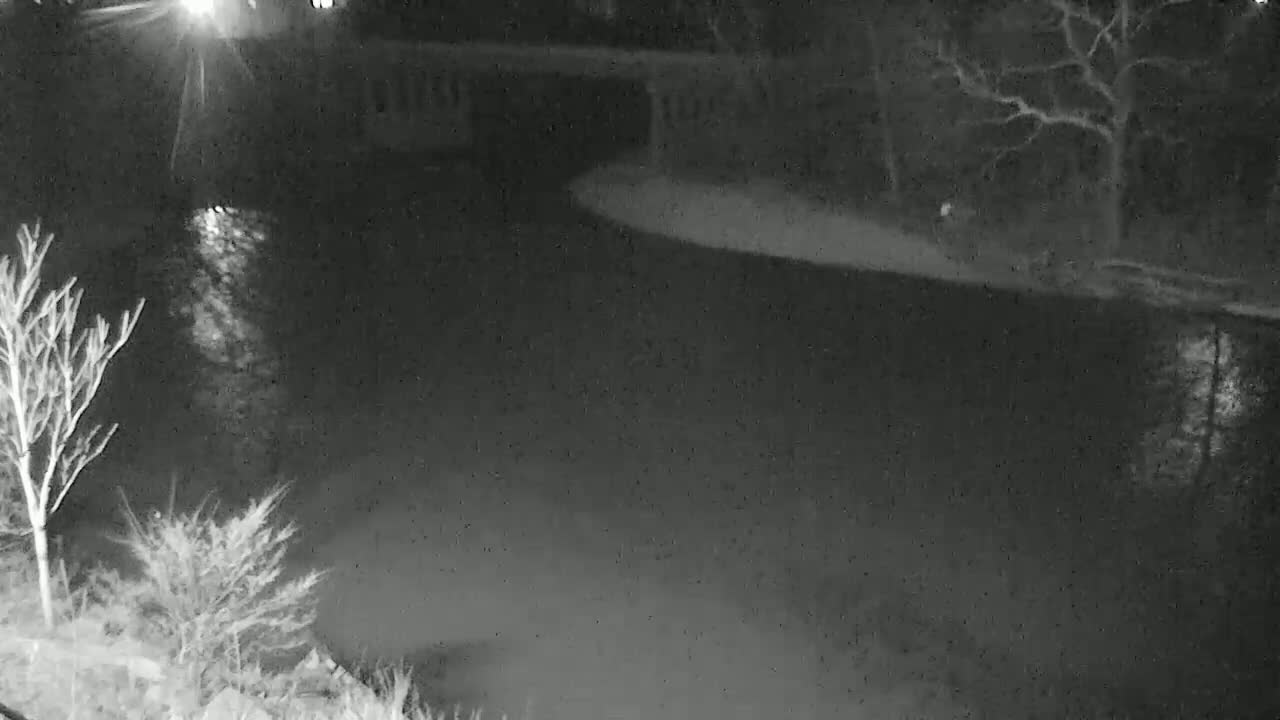 A nighttime, black-and-white view shows a dark body of water under a bridge, with bare trees along its banks.