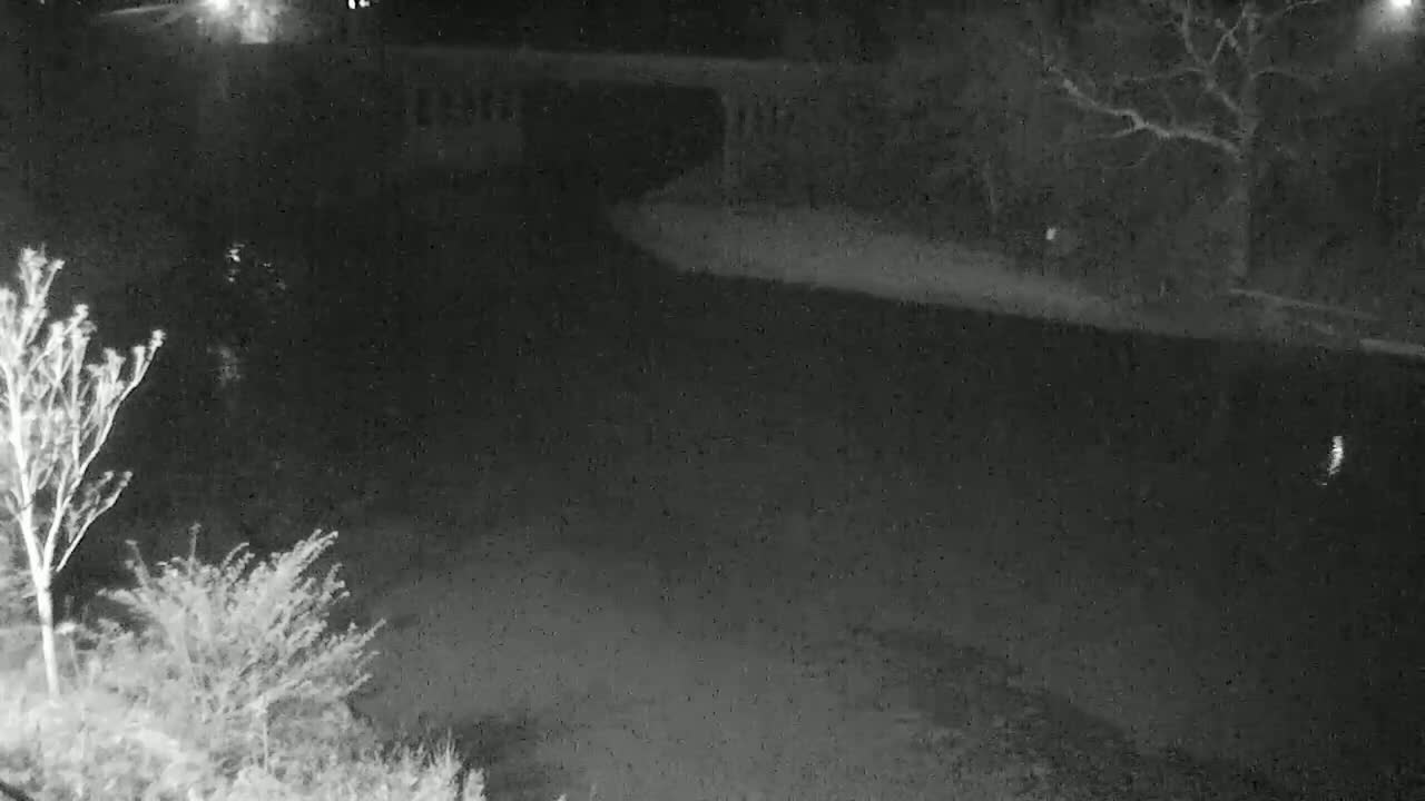 A nighttime, low-light image shows a dark body of water under a dark sky, with bare trees and shrubs visible along the edges.