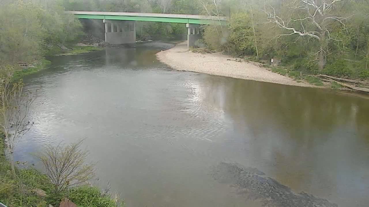 A green bridge spans a murky river bordered by trees under an overcast sky.