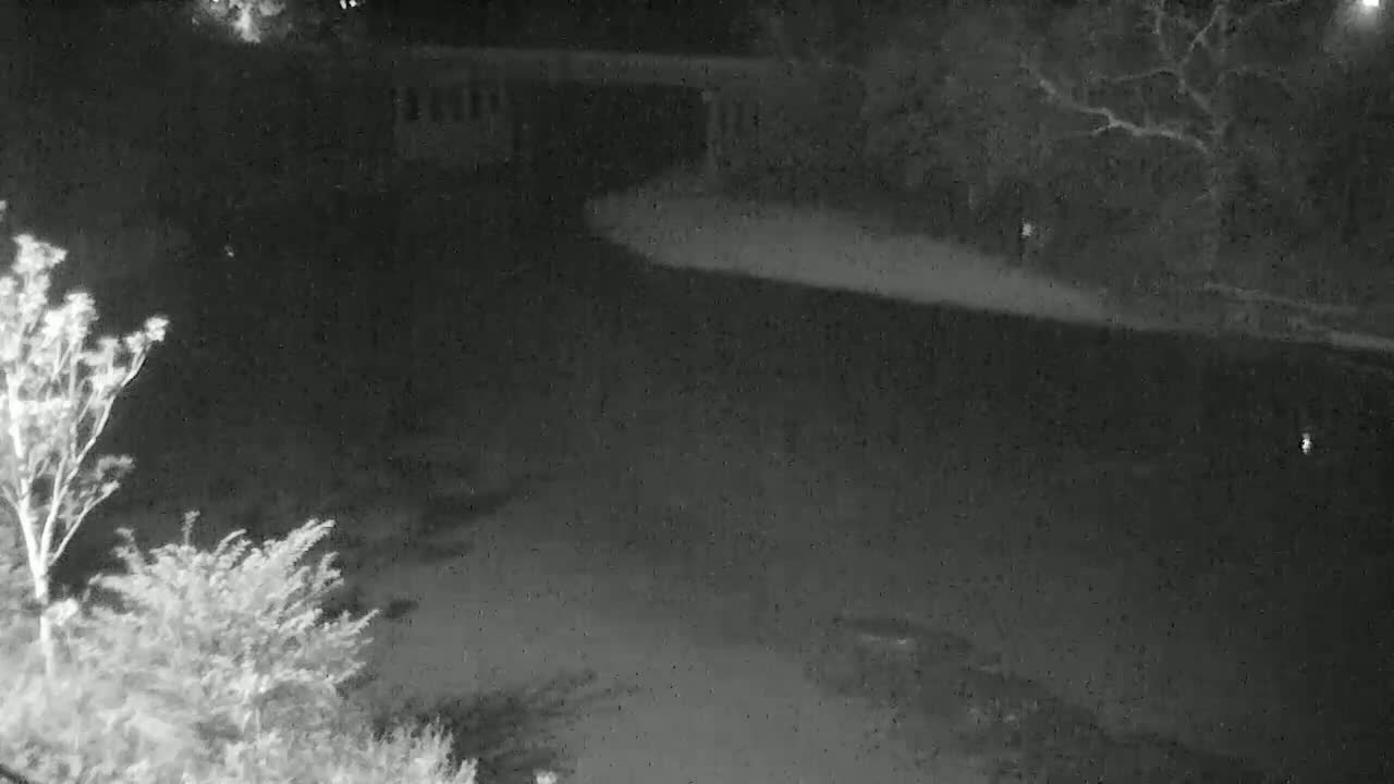 A nighttime, grainy view shows a dark body of water, surrounded by trees and shrubs, under a dark sky.