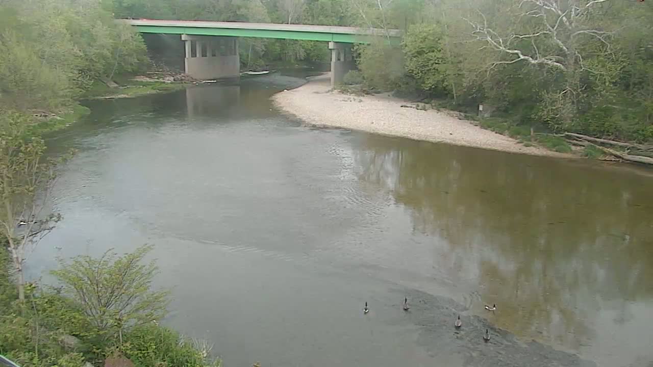 A wide, calm river flows under a green bridge, bordered by trees and a few birds on the riverbank.