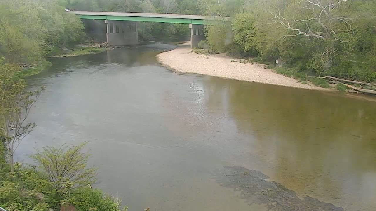 A green bridge spans a murky river, with lush green trees lining the banks on an overcast day.