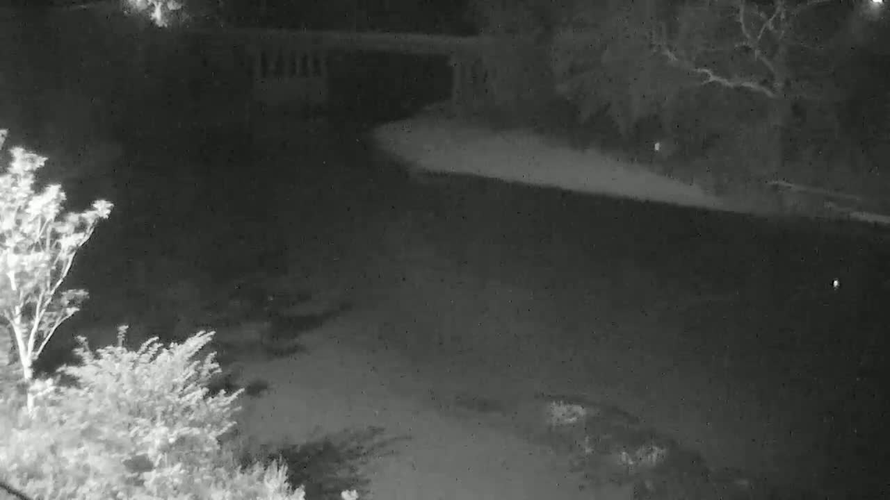 A nighttime, low-light view shows a dark body of water, possibly a pond or lake, bordered by trees and shrubs.