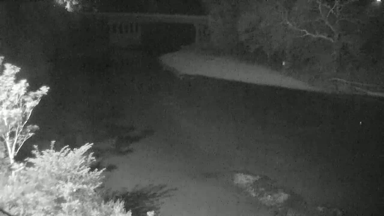 A nighttime, low-light view shows a dark body of water, possibly a pond or lake, bordered by trees and shrubs under a cloudy sky.