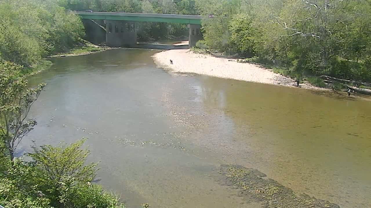 A wide, shallow river flows under a bridge, surrounded by lush green trees on a sunny day.