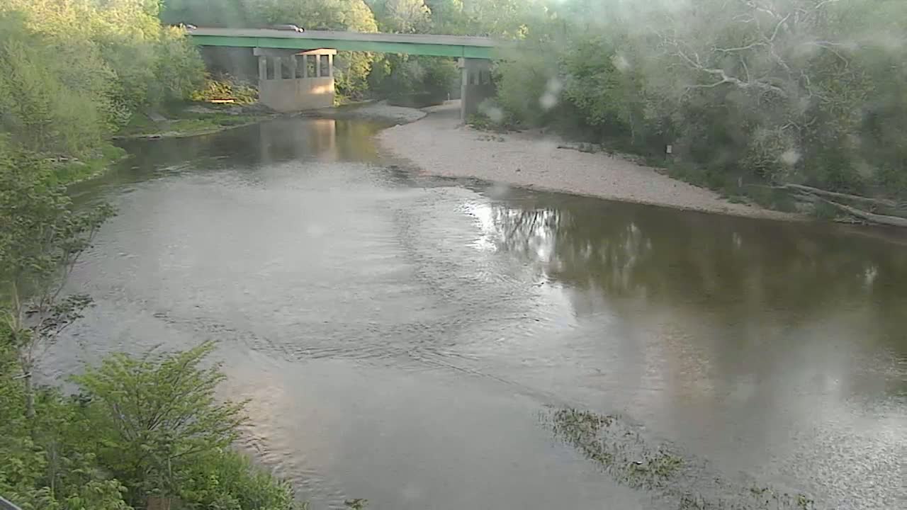 A murky river flows beneath a bridge, surrounded by lush green trees on an overcast day.