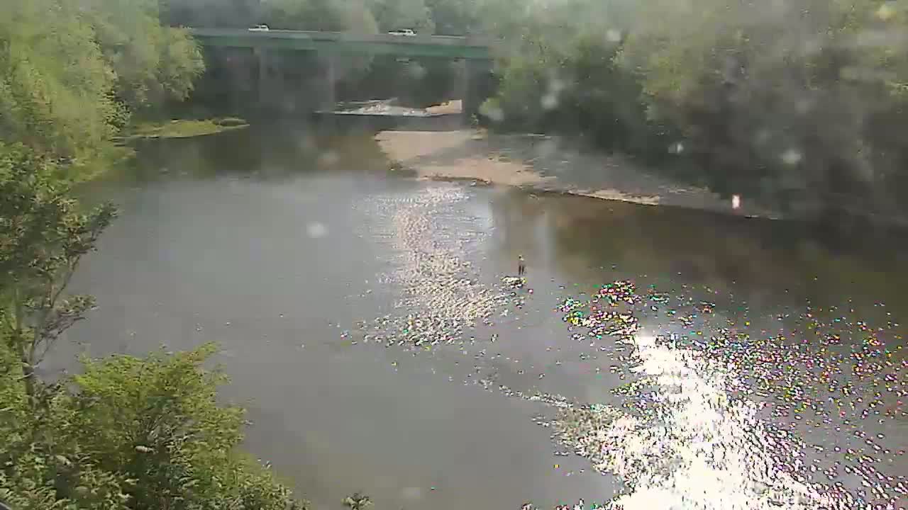 A person stands in a shallow, sunlit river under a gray, overcast sky near a bridge surrounded by green trees.