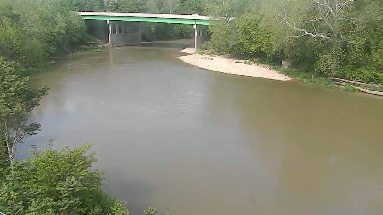 A wide, murky river flows under a green highway bridge surrounded by lush green trees on a sunny day.