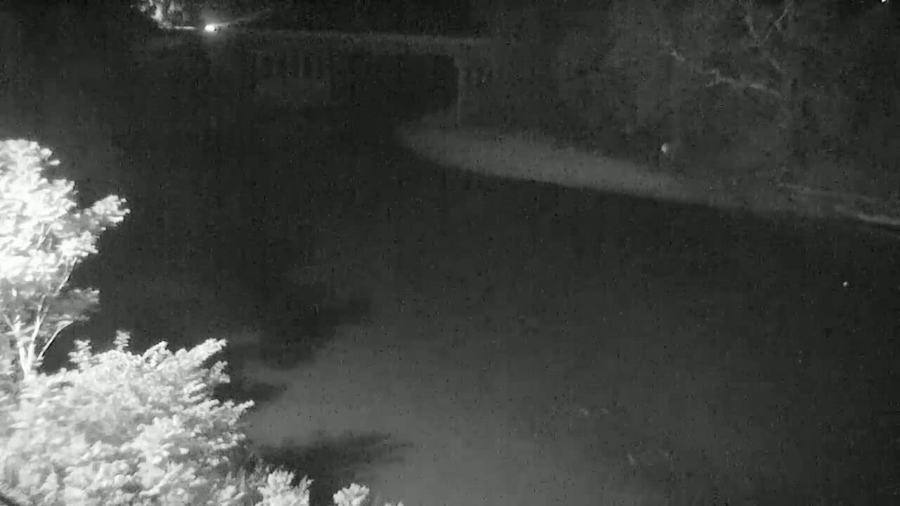 A nighttime, low-light view shows a dark body of water with a bridge in the distance, partially obscured by trees on either side.