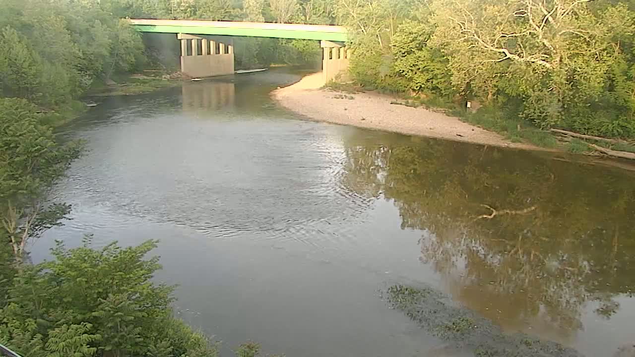 A river bends beneath a green-topped bridge surrounded by lush green trees on a sunny day.